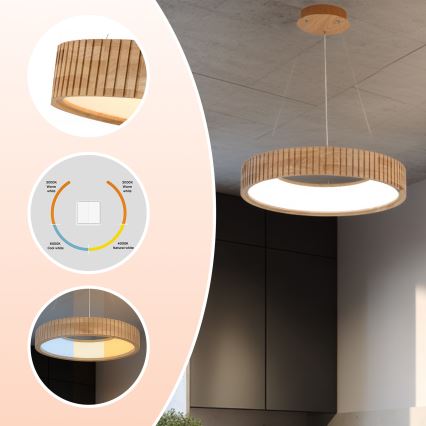 Brilagi - LED-riippuvalaisin vaijerilla FALCON WOOD MODERN, 30 W, 230 V, 3000/4000/6000 K, Ø 45 cm, puu