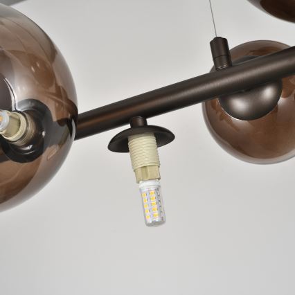 Brilagi - LED-riippuvalaisin vaijerilla MILLA 10xG9/3W/230V ruskea/savunruskea