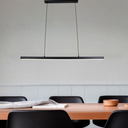 Brilagi - LED-riippuvalaisin vaijerilla PAXIS, 30 W, 230 V, 120 cm, musta