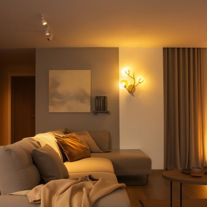 Brilagi - LED-seinävalaisin MISTEL 3xG9/3W/230V kulta