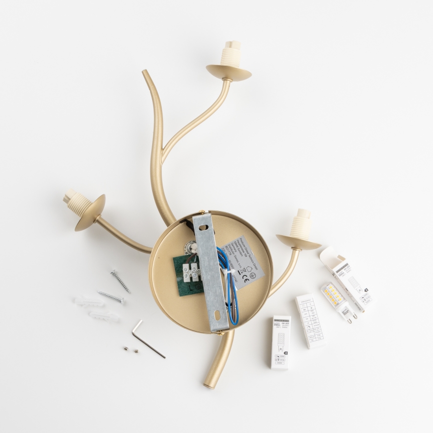 Brilagi - LED-seinävalaisin MISTEL 3xG9/3W/230V kulta