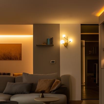 Brilagi - LED-seinävalaisin MISTEL 3xG9/3W/230V kulta/valkoinen