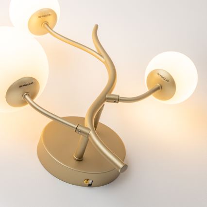 Brilagi - LED-seinävalaisin MISTEL 3xG9/3W/230V kulta/valkoinen