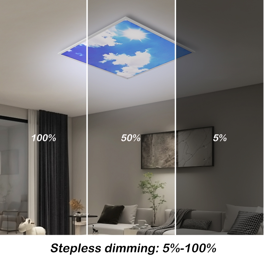 Brilagi - Himennettävä LED-kattovalaisin SLIMFRAME SKY LED/58W/230V 60x60 cm 3000-6000K hopea/sininen + kaukosäädin