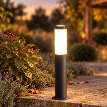 BRILAGI - LED-himmennettävä ulkovalaisin ELIA 1xE27/6W/230V 2700-6500K IP44 Wi-Fi 50 cm antrasiitti