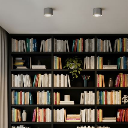 Brilagi - LED STRIPY-kohdevalaisin 1xGX53/15W/230V hopea