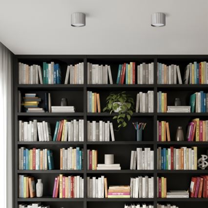 Brilagi - LED STRIPY-kohdevalaisin 1xGX53/15W/230V hopea