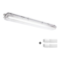 BRILAGI - LED-tekninen pölytiivis loisteputkivalaisin OPTIMA T8 2xG13/9W/230V 4000K IP65 67,5 cm