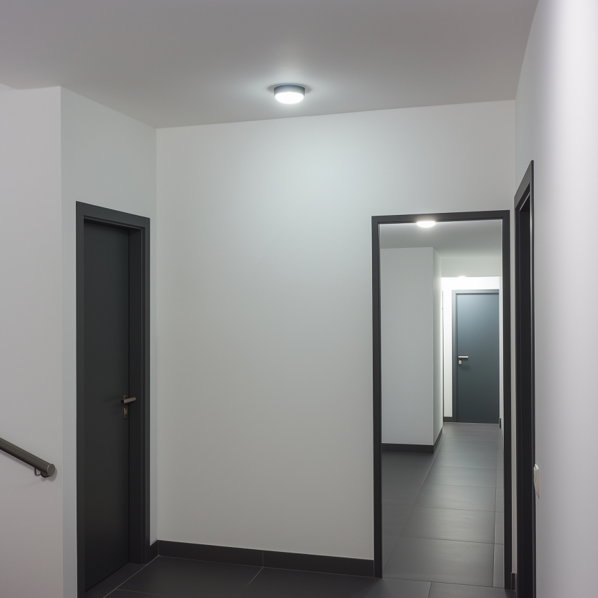 Brilagi - LED-teollisuuskattovalaisin SIMA LED/12W/230V IP65 musta