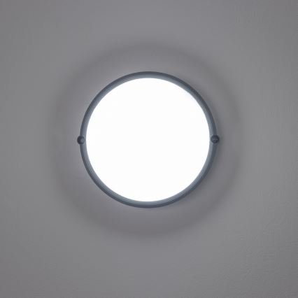 Brilagi - LED-teollisuuskattovalaisin SIMA LED/12W/230V IP65 musta