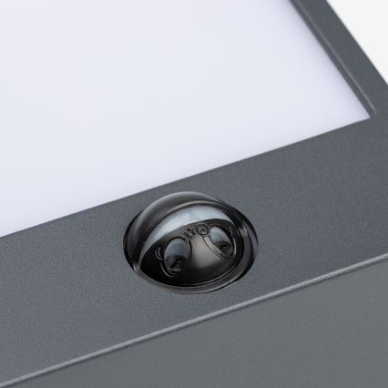 Brilagi - LED-ulkovaloseinävalaisin liiketunnistimella TERNI LED/12W/230V antrasiitti IP44