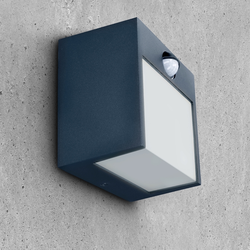 Brilagi - LED-ulkovaloseinävalaisin liiketunnistimella TERNI LED/12W/230V antrasiitti IP44