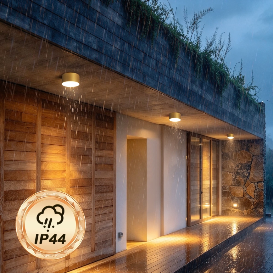 BRILAGI - LED Ulkokattovalaisin FORIS LED/14W/230V, halkaisija 12 cm, kultainen, IP44