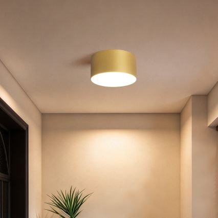 BRILAGI - LED Ulkokattovalaisin FORIS LED/14W/230V, halkaisija 12 cm, kultainen, IP44