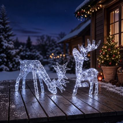 BRILAGI - LED-ulkojoulukoriste LED/3,3W/230V IP44 60x37 cm poro