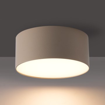 BRILAGI - LED Ulkokattoon asennettava valaisin FORIS LED/14W/230V, halkaisija 12 cm, beige, IP44