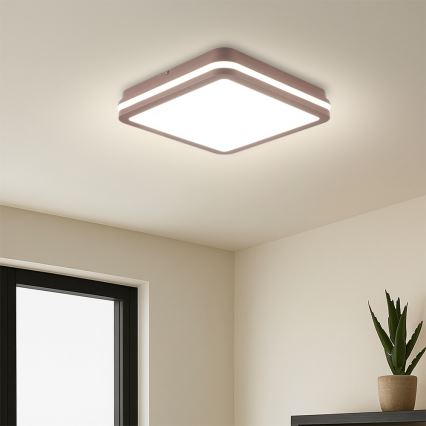 Brilagi - LED ulkokattovalaisin BENE LED/24W/230V 26x26 cm ruskea IP54