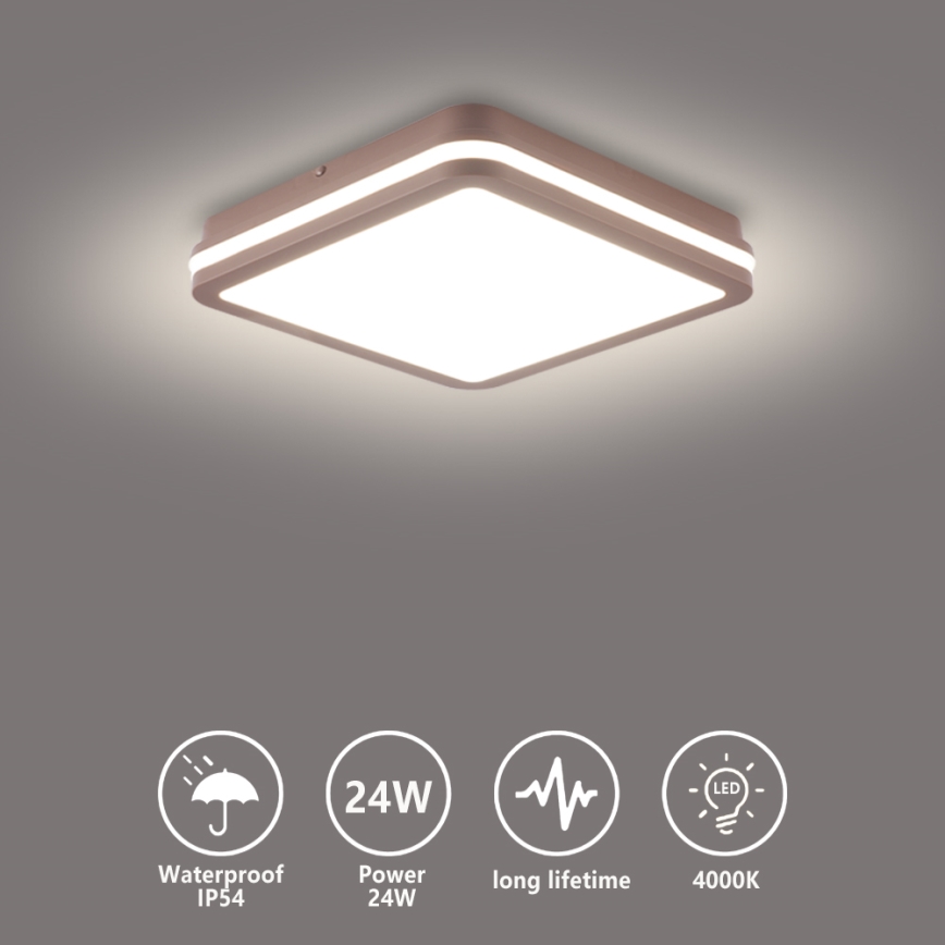 Brilagi - LED ulkokattovalaisin BENE LED/24W/230V 26x26 cm ruskea IP54