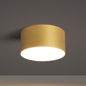 BRILAGI - LED Ulkokattovalaisin FORIS LED/14W/230V, halkaisija 12 cm, kultainen, IP44