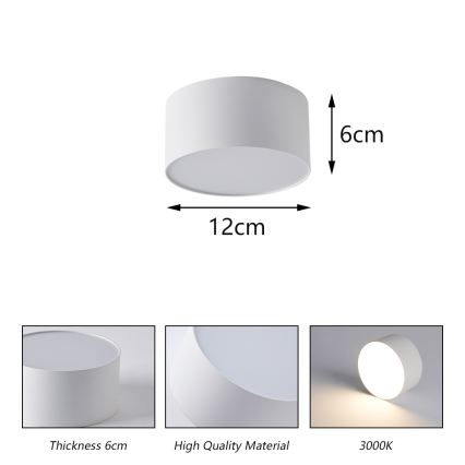 BRILAGI - LED Ulkokattovalaisin FORIS LED/14W/230V halkaisija 12 cm valkoinen IP44