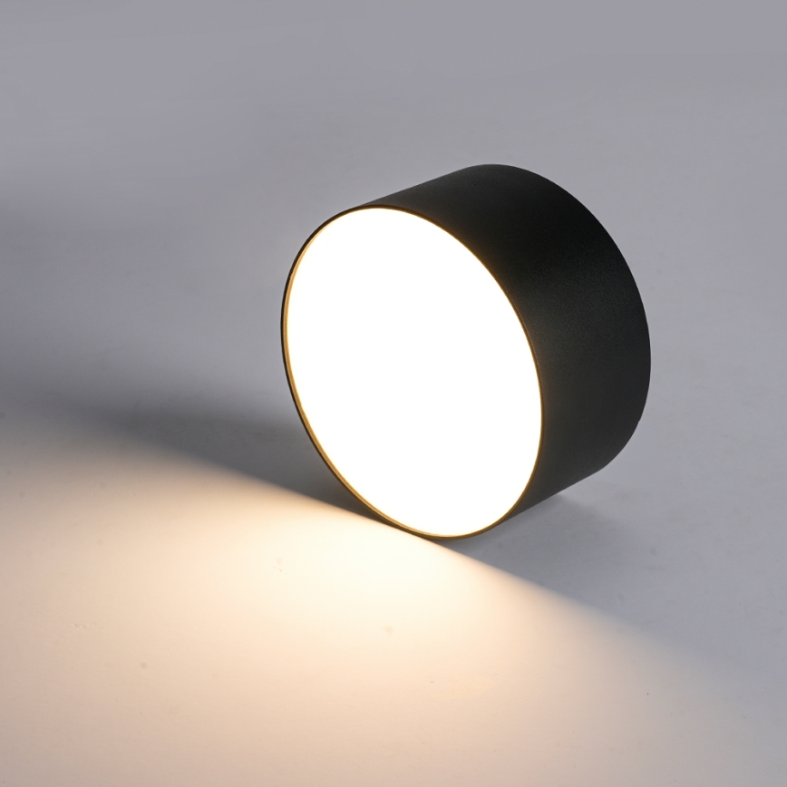 BRILAGI - LED ulkokattovalaisin FORIS LED/20W/230V halkaisija 15 cm musta IP44