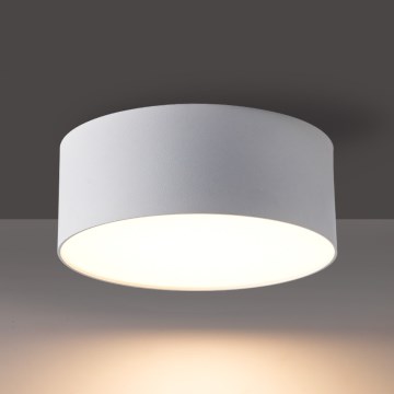 BRILAGI - LED Ulkokattovalaisin FORIS LED/20W/230V halkaisija 15 cm valkoinen IP44