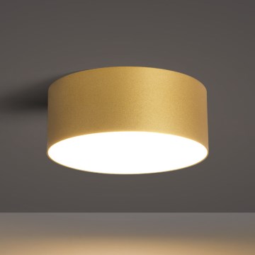 BRILAGI - LED-ulkokattovalaisin FORIS LED/20W/230V Ø 15 cm kultainen IP44