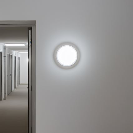 Brilagi - LED-ulkokattovalaisin LED/13W/230V halkaisija 17 cm IP54