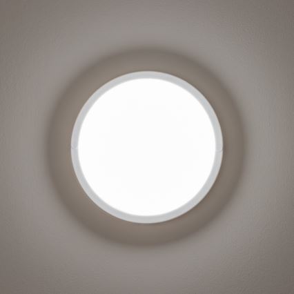 Brilagi - LED-ulkokattovalaisin LED/13W/230V halkaisija 17 cm IP54