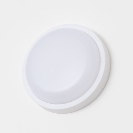 Brilagi - LED-ulkokattovalaisin LED/13W/230V halkaisija 17 cm IP54