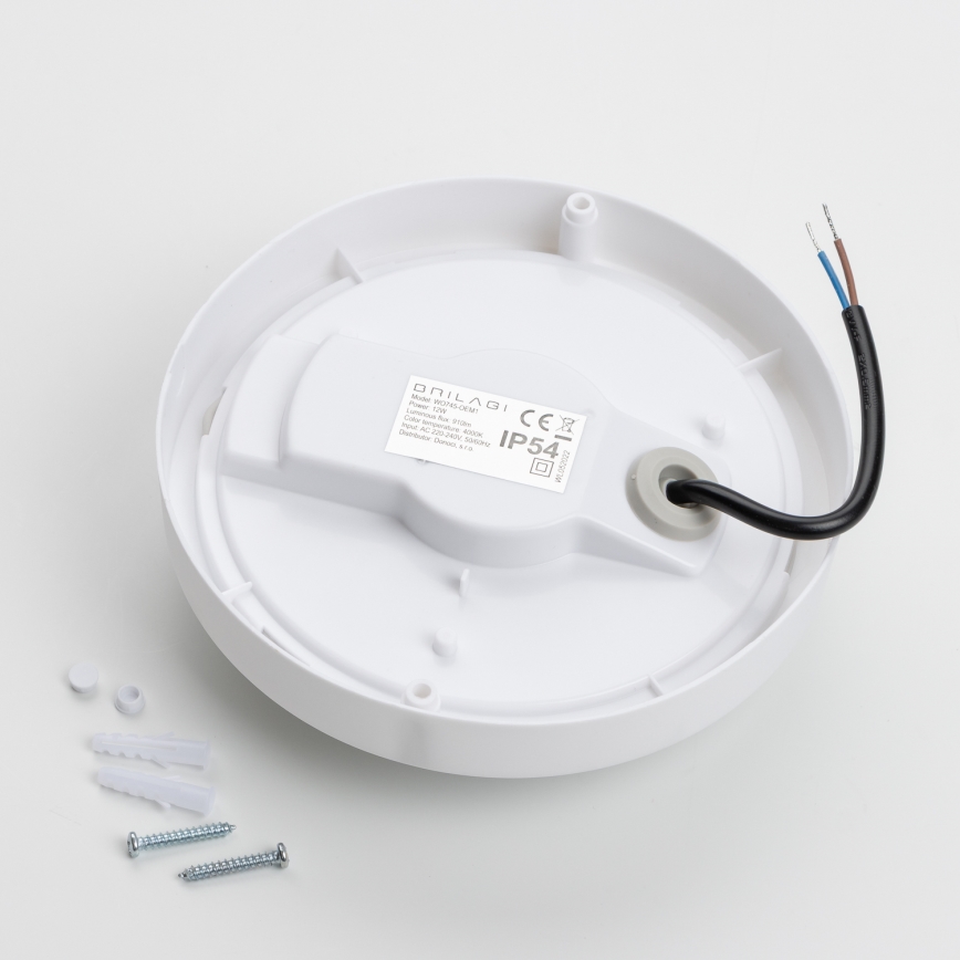 Brilagi - LED-ulkokattovalaisin LED/13W/230V halkaisija 17 cm IP54