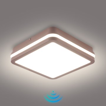 Brilagi - LED-ulkokattovalaisin tunnistimella BENE LED/18W/230V 21,5x21,5 cm ruskea IP54
