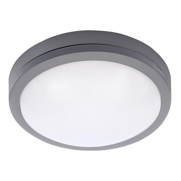 Brilagi - LED Ulkokattovalo LED/20W/230V IP54 antrasiitti