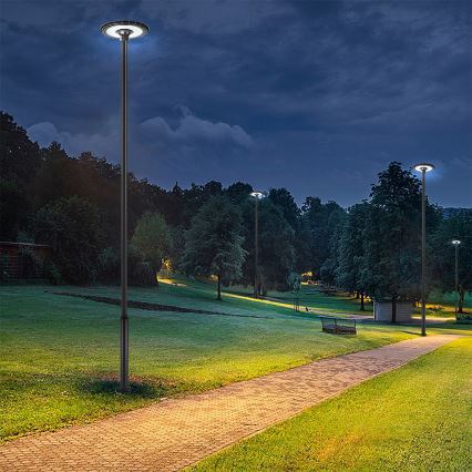 Brilagi - LED-ulkovalaisin pylväällä 5 m URBANSPARK LED/120W/230V musta IP65