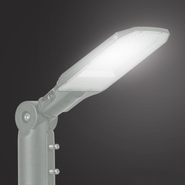 Brilagi - LED ulkokatuvalaisin URBANLIGHT LED/50W/230V harmaa IP65
