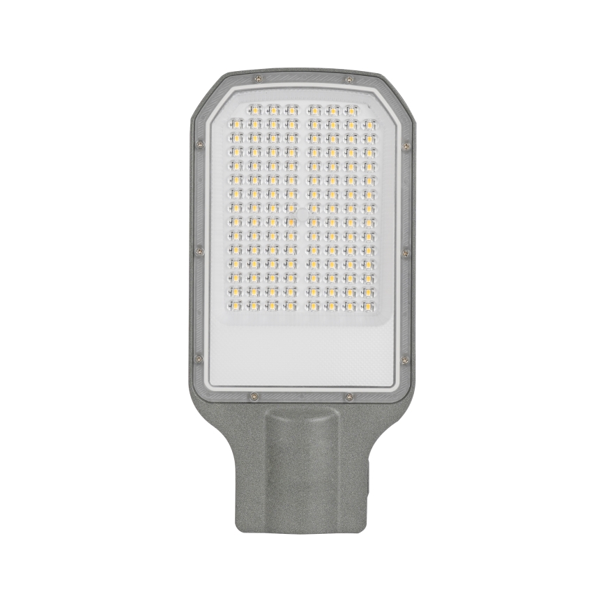 Brilagi - LED ulkokatuvalaisin URBANLIGHT LED/50W/230V harmaa IP65