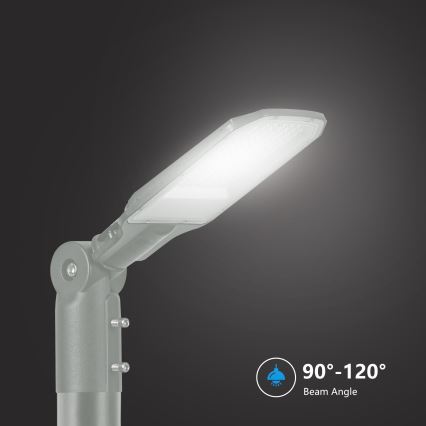 Brilagi - LED ulkokatuvalaisin URBANLIGHT LED/50W/230V harmaa IP65
