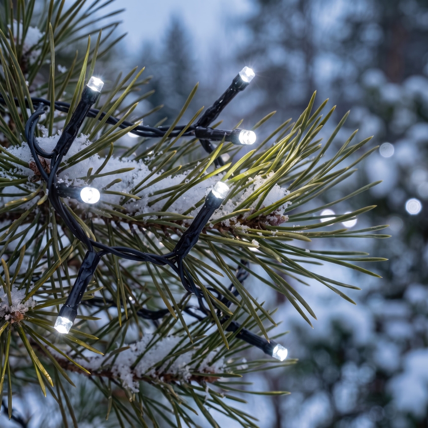 BRILAGI - LED-ulkokäyttöinen jouluköynnös 800xLED, 21 m, IP44, kylmänvalkoinen