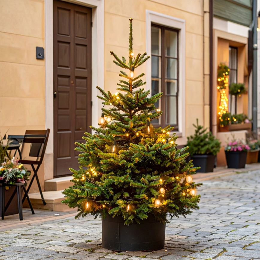 Brilagi - LED ulkokäyttöön tarkoitettu jouluköynnös 10xLED/3xAA 3,2m IP44 lämmin valkoinen