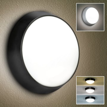 Brilagi - LED-ulkoseinävalaisin 2in1 BULKHEAD LED/20W/230V 3000/4000/6000K IP65