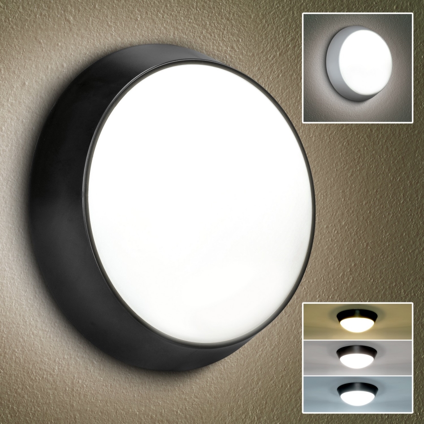 Brilagi - LED-ulkoseinävalaisin 2in1 BULKHEAD LED/20W/230V 3000/4000/6000K IP65