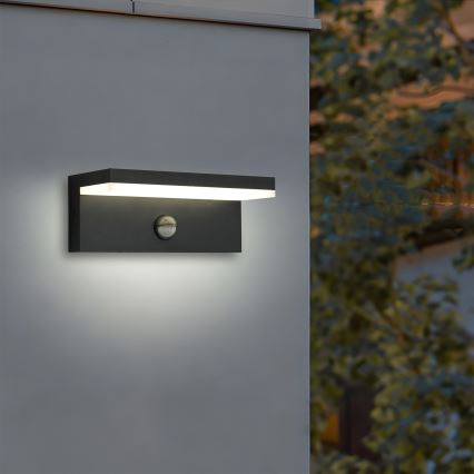 Brilagi - LED-ulkoseinävalaisin anturilla TESSI LED/10W/230V musta IP54
