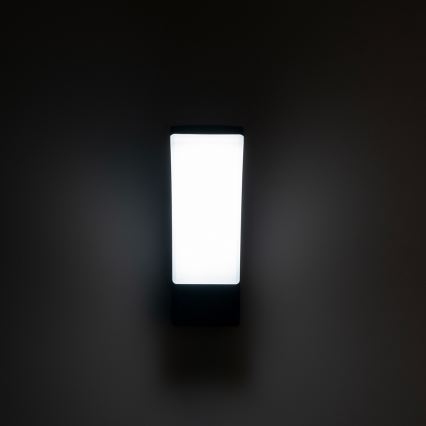 BRILAGI - LED ulkoseinävalaisin ARCELO LED/12W/230V IP65 musta