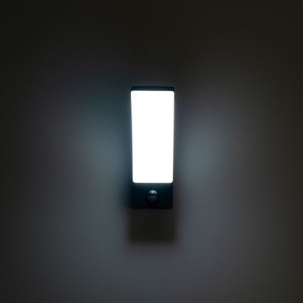 BRILAGI - LED-ulkoseinävalaisin liike- ja hämärätunnistimella ARCELO LED/12W/230V IP65 musta
