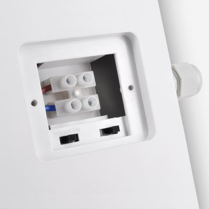 Brilagi - LED-ulkoseinävalaisin 2in1 BULKHEAD LED/20W/230V 3000/4000/6000K IP65