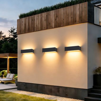 Brilagi - LED ulkoseinävalaisin DONNANI LED/12W/230V musta IP44