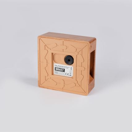 Brilagi -LED ulkoseinävalaisin DOUBLERAY LINE LED/6W/230V puupintainen IP54