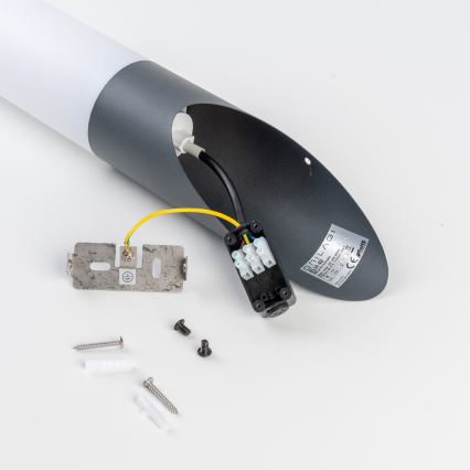 BRILAGI - LED-ulkoseinävalaisin ELIA 1xE27/7W/230V 4000K IP44 antrasiitti