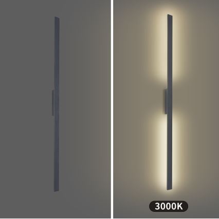 Brilagi - LED ulkoseinävalaisin LUNA LED/30W/230V 3000K IP65 150 cm antrasiitti CRI 90