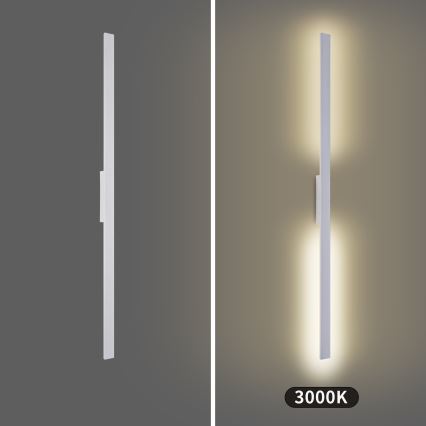 Brilagi - LUNA LED ulkoseinävalaisin LED/30W/230V 3000K IP65 150 cm valkoinen CRI 90